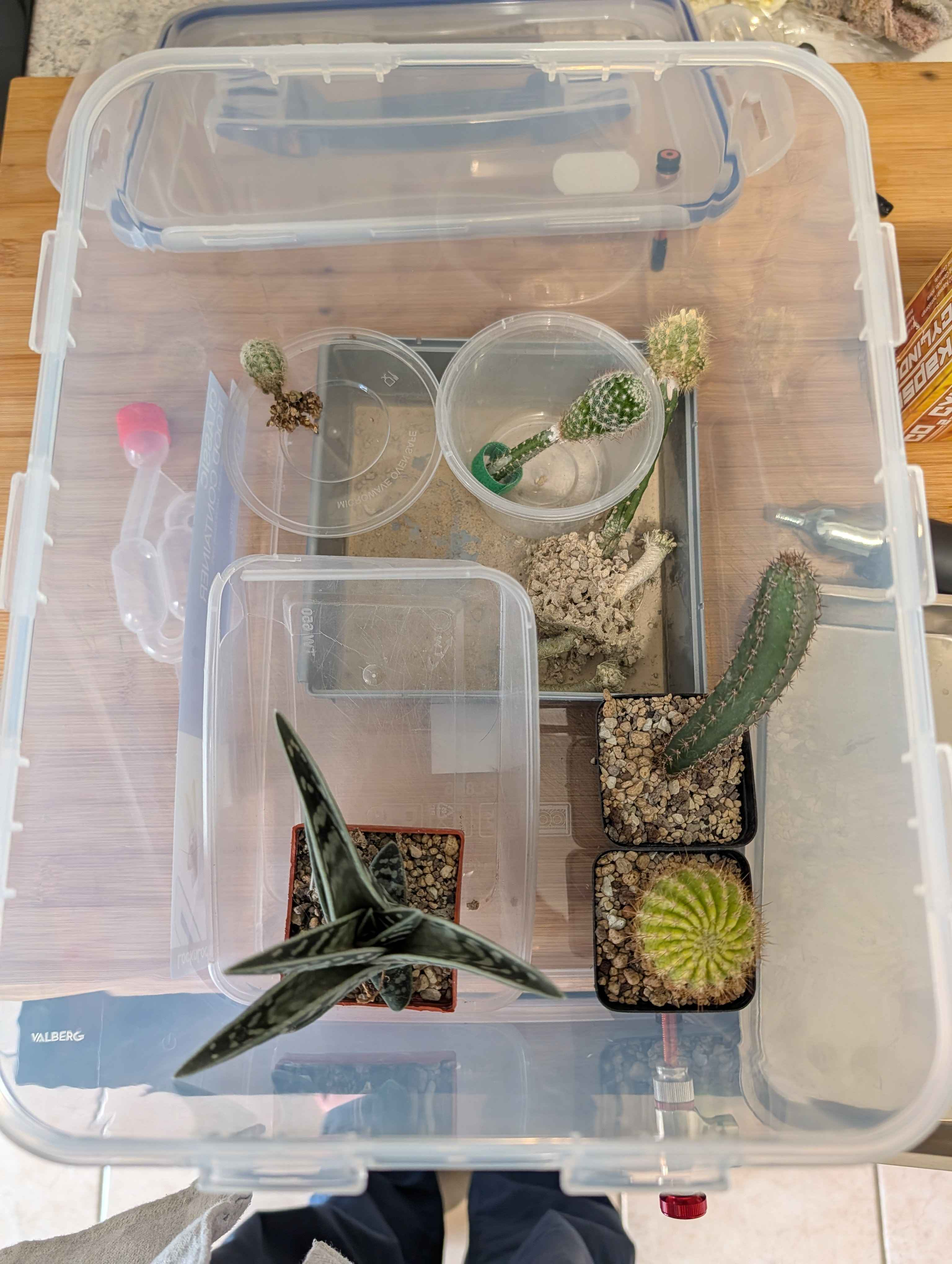 Pasted image 20260325135607.png